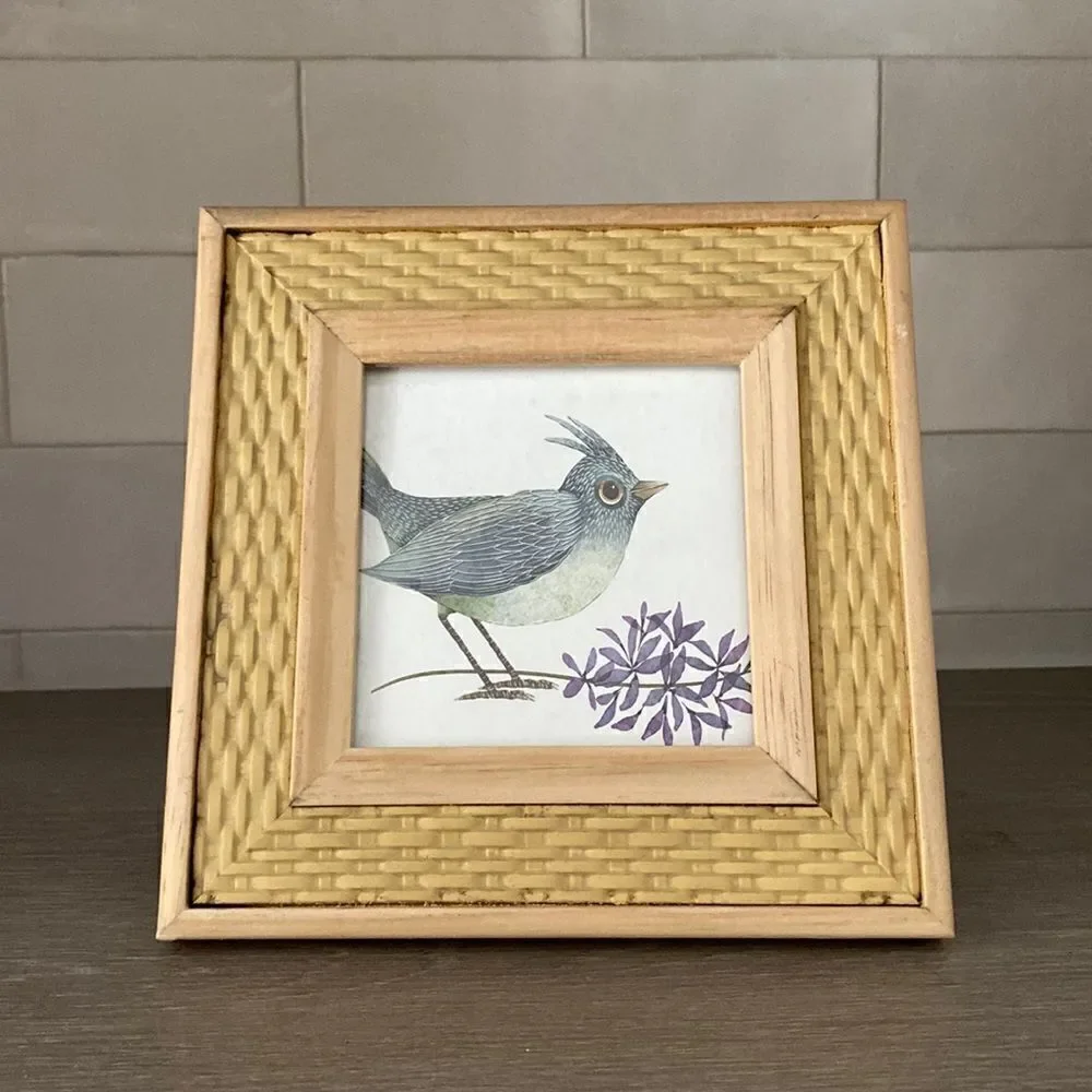 Rachel  Rachel Roy  Picture  Frame